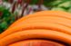 Шланг для поливу 5/8" Orange Professional (25м) kr-shlang-18 фото 4